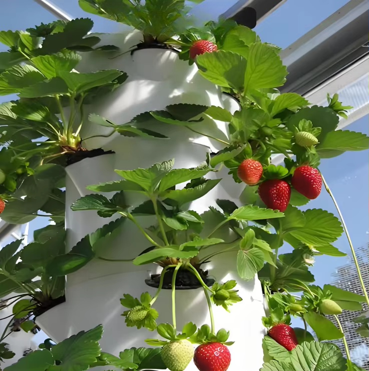Modular hydroponic growth wall - đánh giá và giá Urban Farming Wall