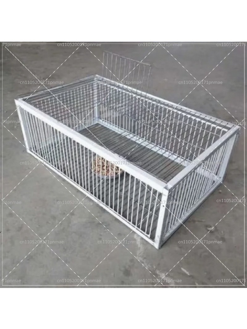 Professional Multifunctional B - đánh giá và giá Urban Farming Urban Gardening