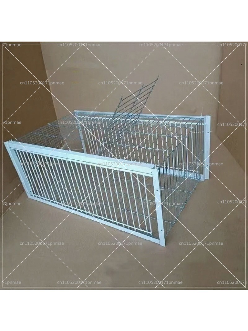 Professional Multifunctional B - đánh giá và giá Urban Farming Urban Gardening